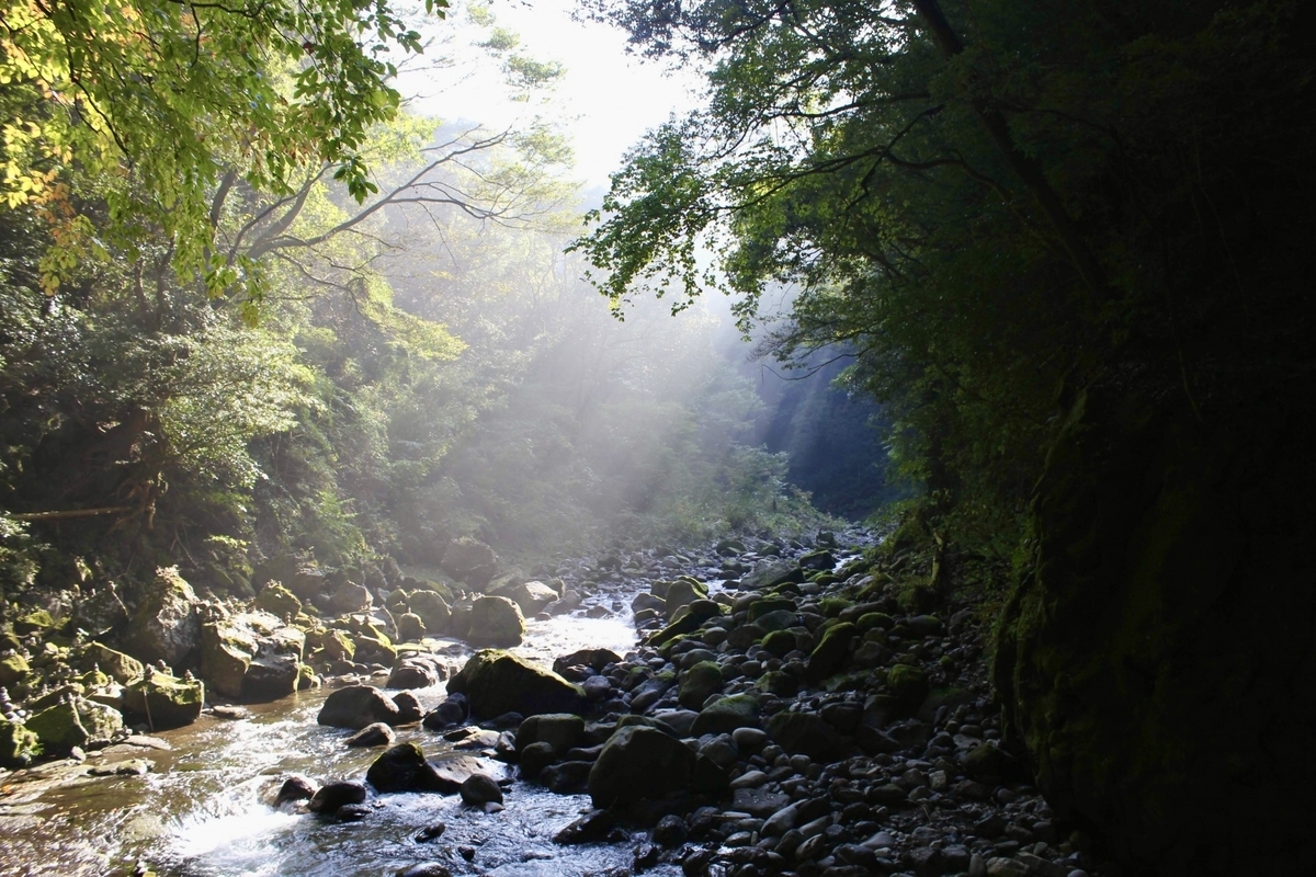 岩户川清澈的流水和阳光透过树叶洒落的溪谷风景
