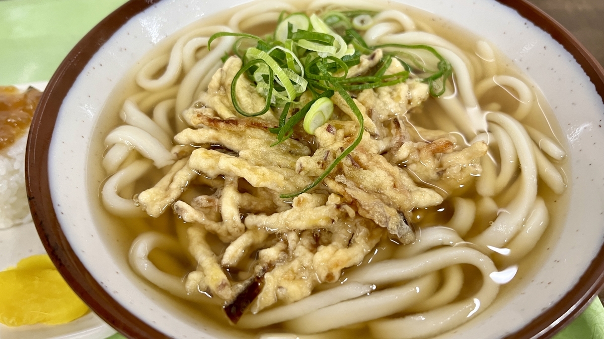 Burdock udon at Sankakuchaya Toyokichi Udon with burdock tempura in warm broth