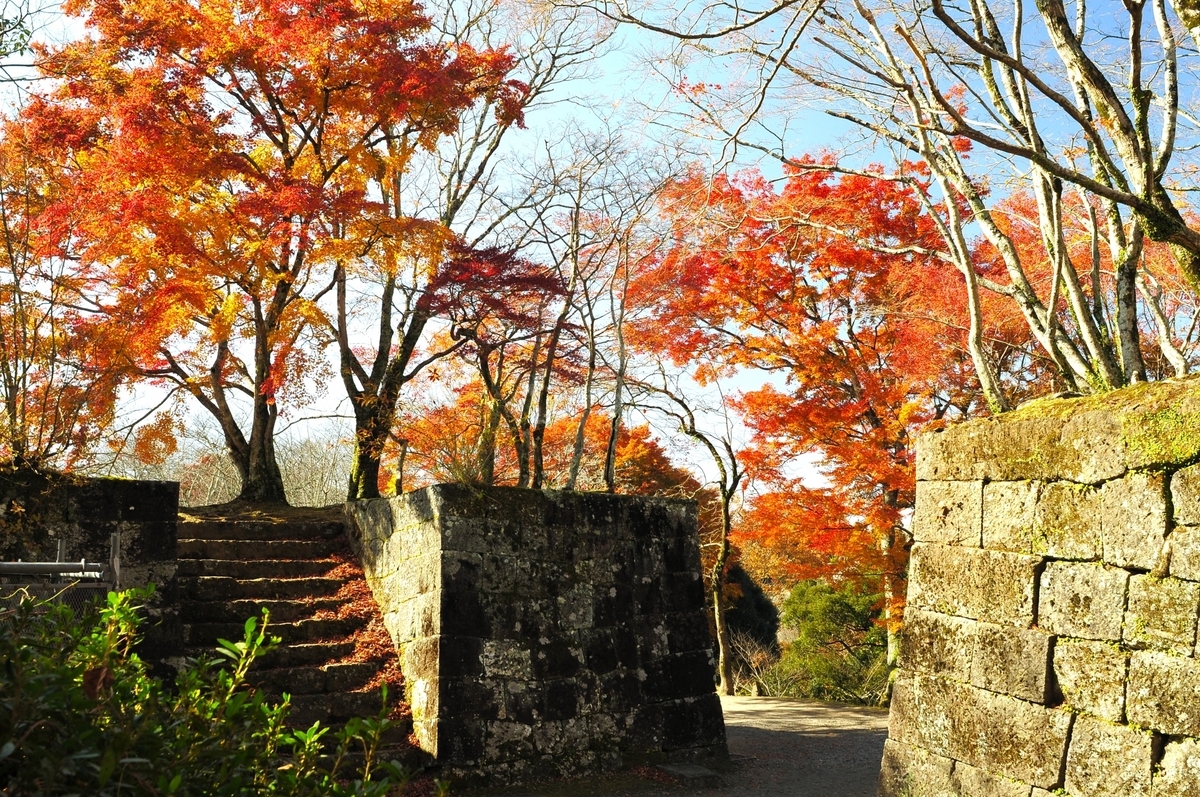선명한 단풍 터널이 감싸는 푸른 석벽과 문터