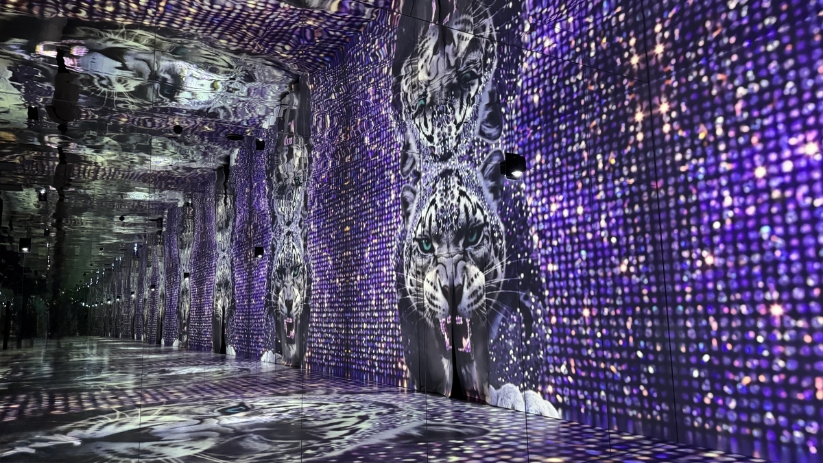 鏡面の床と壁にヒョウの映像が連続するANIMALエリアの通路