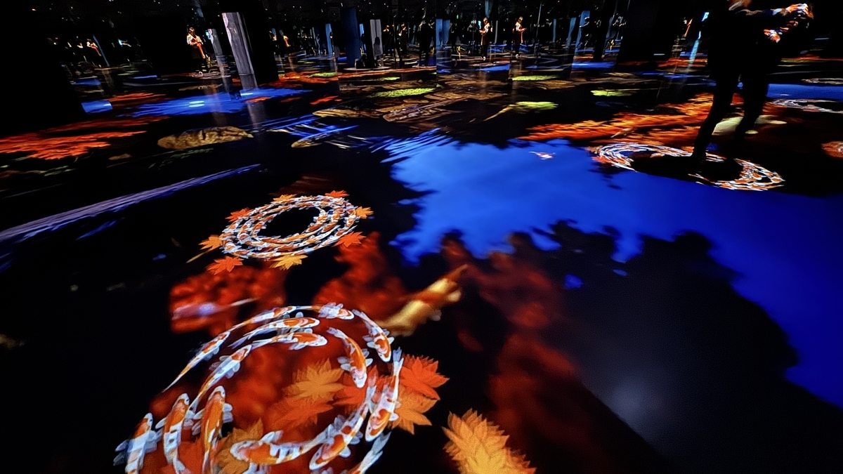 紅葉が舞う水面に鯉が泳ぎ足元に波紋が広がるNATUREエリア