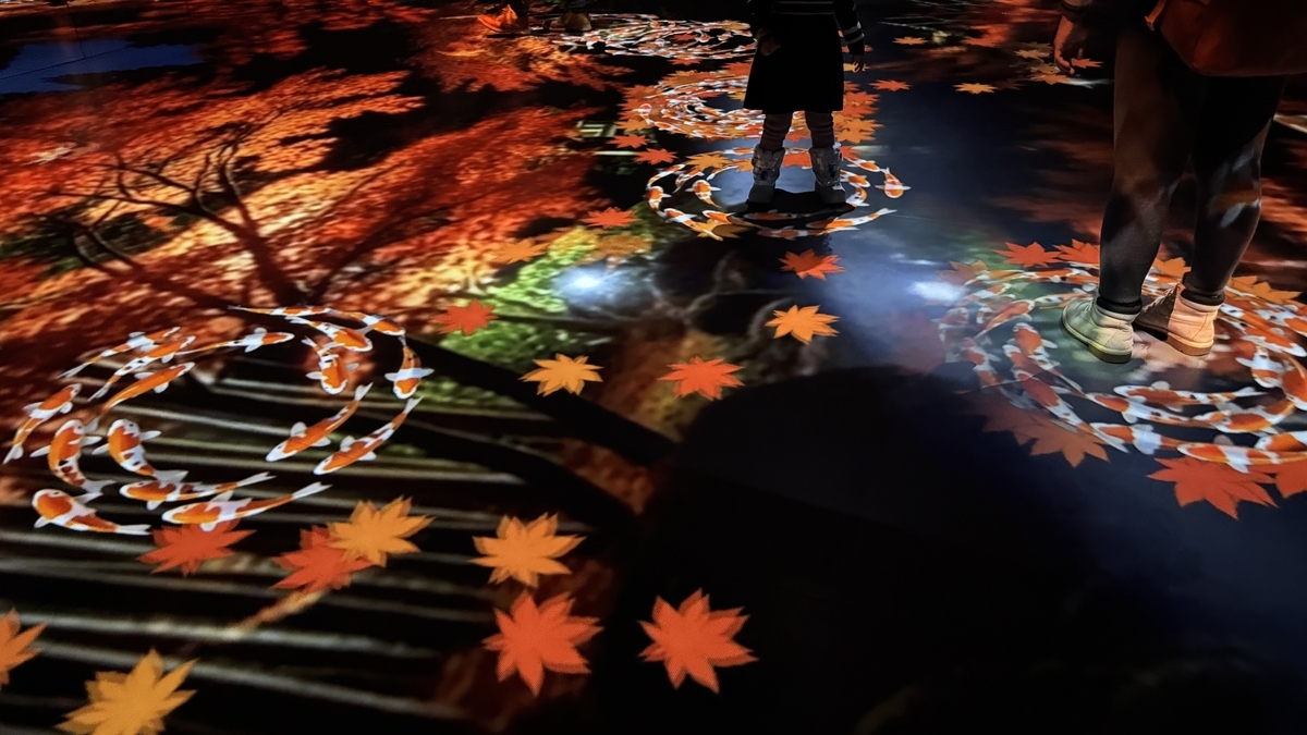 紅葉と鯉のプロジェクションの上を歩く来場者と足元の波紋