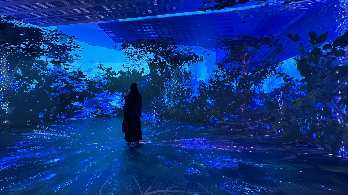 青い光に包まれた幻想的な森の映像と中央に立つ来場者の背中