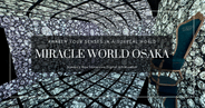 MIRACLE WORLD OSAKA: El nuevo museo de arte digital inmersivo en Namba
