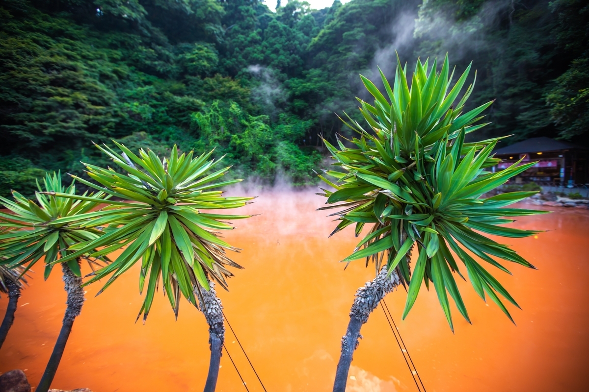 緑の木々に囲まれた血の池地獄の赤い湯面と手前に立つ南国風の植物