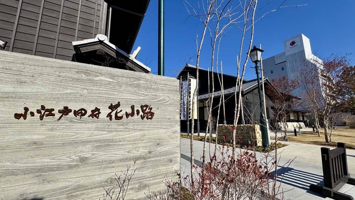 고에도 고후 하나코지의 목재 간판과 돌바닥 광장, 마치야 풍 건물과 가로등이 늘어선 낮 풍경