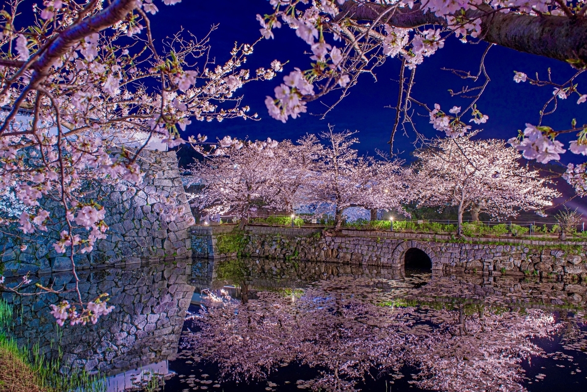 石垣護城河與石橋拱門周圍夜櫻倒映水面的風景