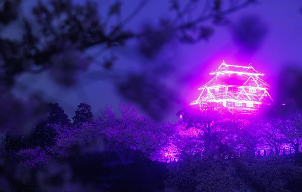 紫色閃耀的光之天守閣與夜櫻漂浮在山丘上的景象