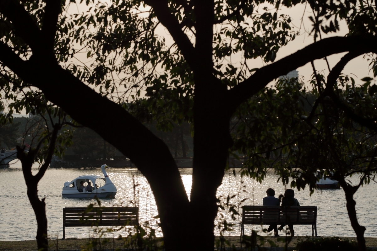 黃昏時大濠公園坐在長椅上的人與漂浮在湖面的天鵝船