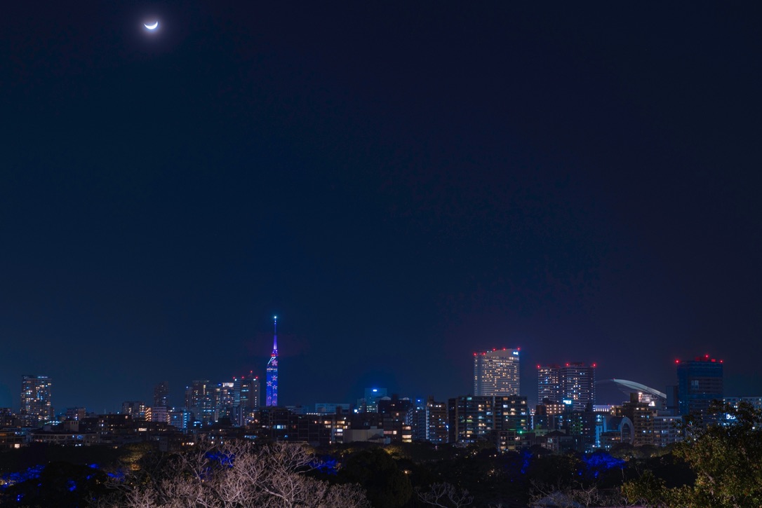 從福岡城天守台眺望的風景。月牙浮現的夜空下福岡塔與福岡市區夜景