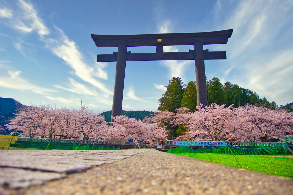 Vista en angulo bajo de un enorme torii negro rodeado de cerezos en flor bajo un cielo azul, con un camino de piedra a sus pies