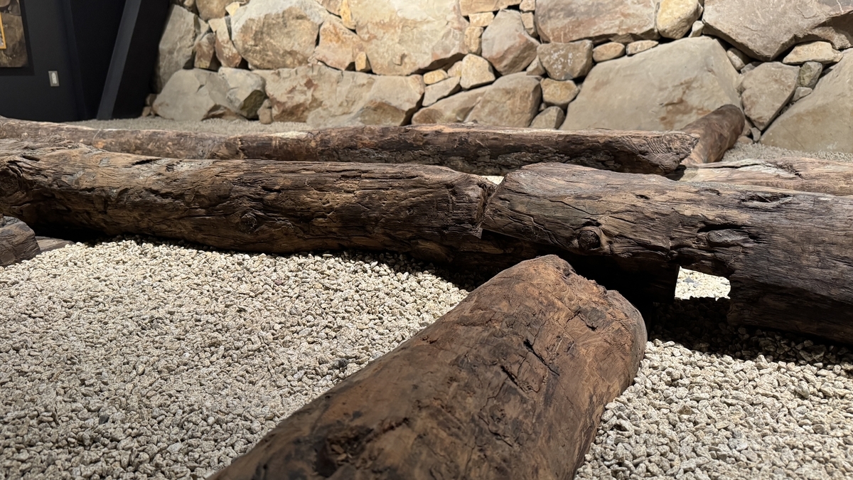 發黑的胴木表面和接合部位近景展示