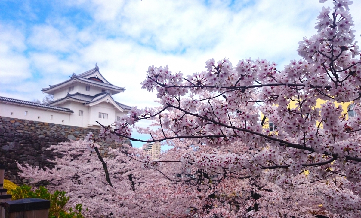 벚꽃 가지 사이로 보이는 흰 벽의 망루와 석벽