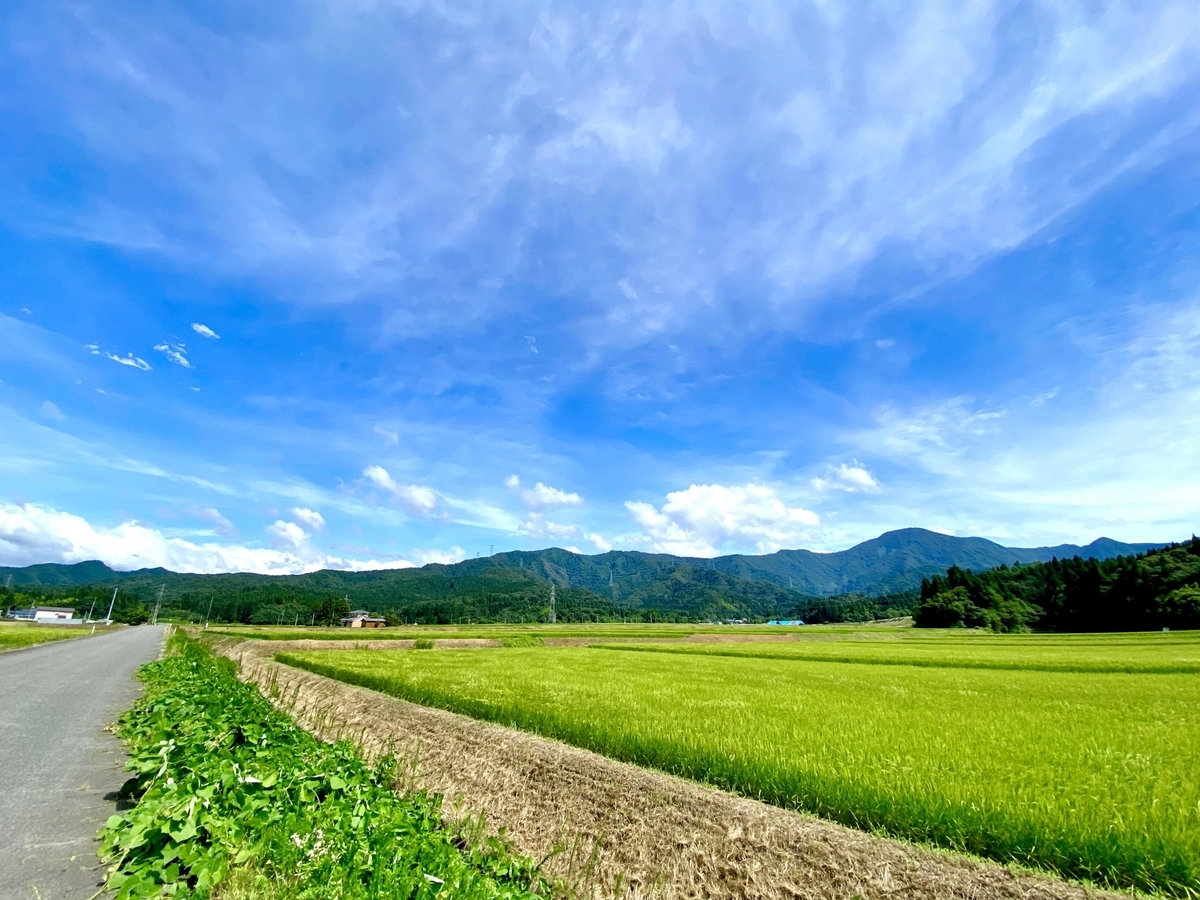 하얀 나마코 벽과 검은 기와 지붕이 인상적인 역사 있는 양조장 건축의 외관