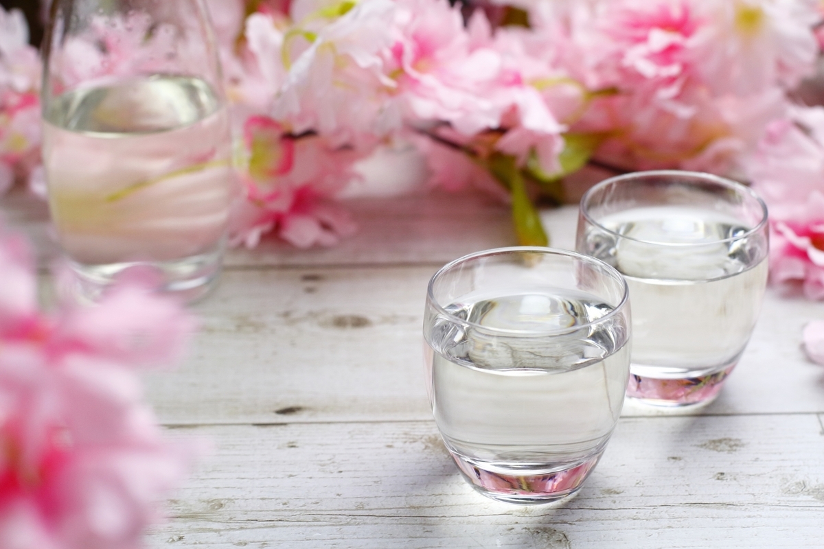 벚꽃 앞에 놓인 사케 병과 두 개의 잔에 담긴 투명한 사케