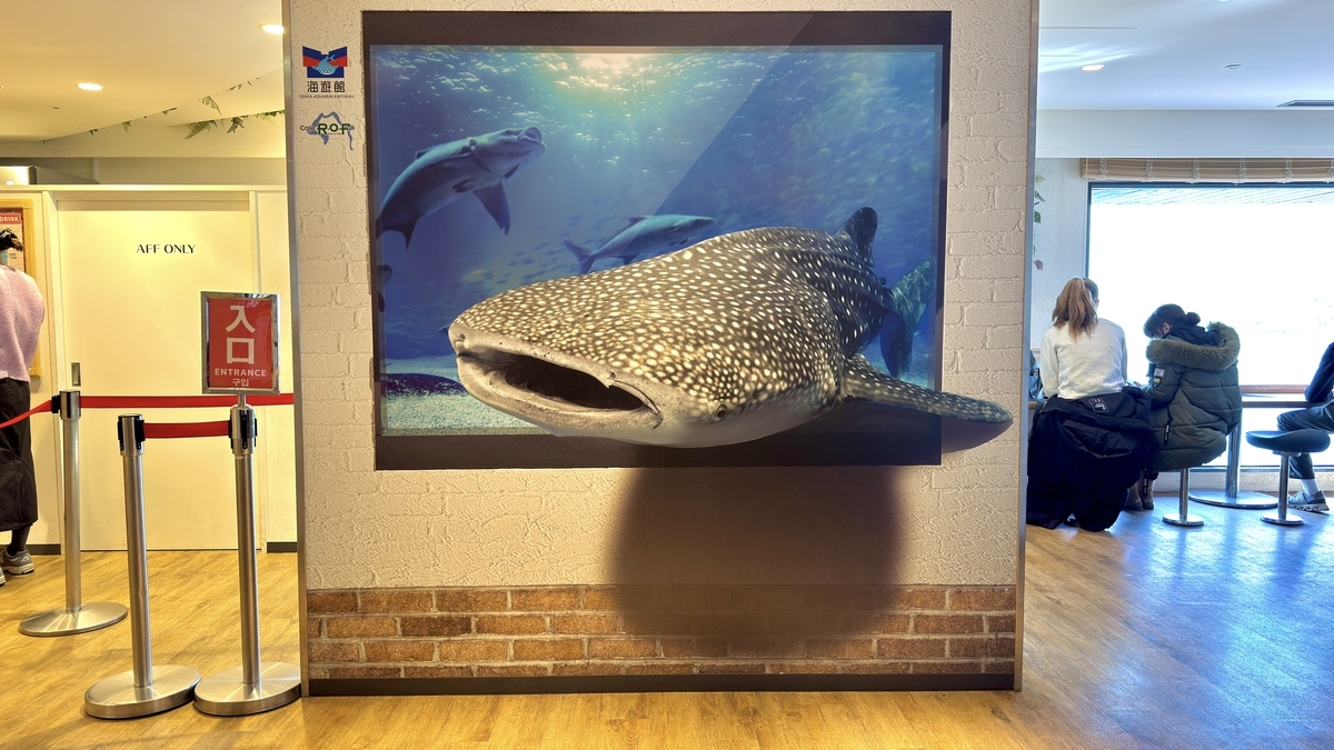 入口附近墙壁上的大型鲸鲨立体画