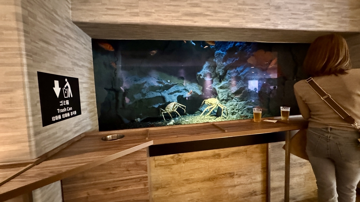 一位游客坐在深海水槽前的吧台座位上观赏甘氏巨螯蟹