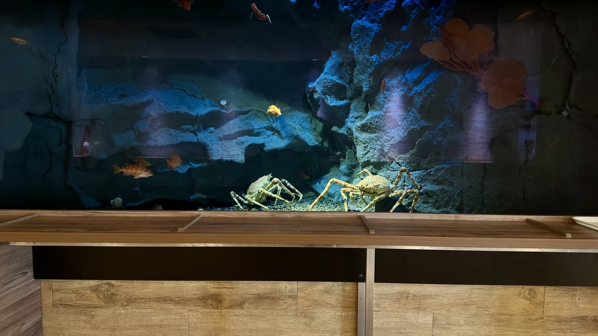 Japan Deep水槽中可见甘氏巨螯蟹和深海鱼,以岩石海底为背景