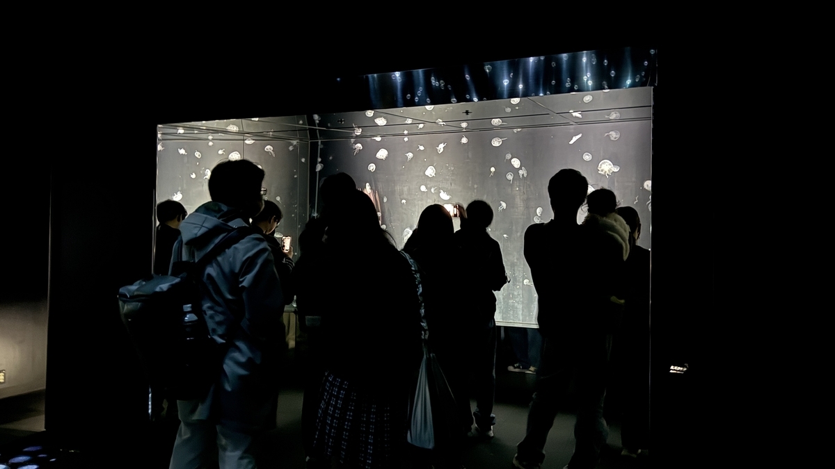 クラゲ水槽を見学する来館者のシルエット