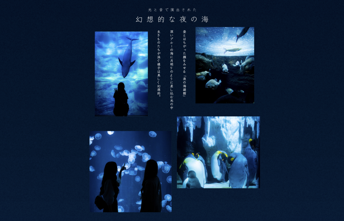 幻想的な夜の海を紹介する館内ポスター