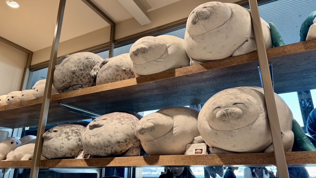 棚いっぱいに並ぶワモンアザラシのぬいぐるみ