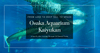 大阪海遊館遊覽指南——14個主題水槽帶你環遊太平洋