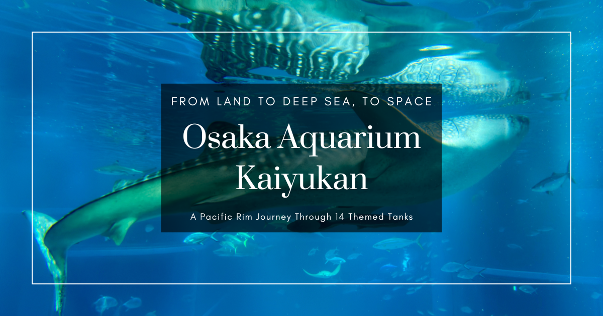 오사카 수족관 가이유칸 가이드: 14개 테마 수조로 떠나는 환태평양 바다 여행