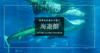 日本最大級！海遊館見どころガイド｜14の水槽で巡る環太平洋の海の旅。大阪・天保山の水族館