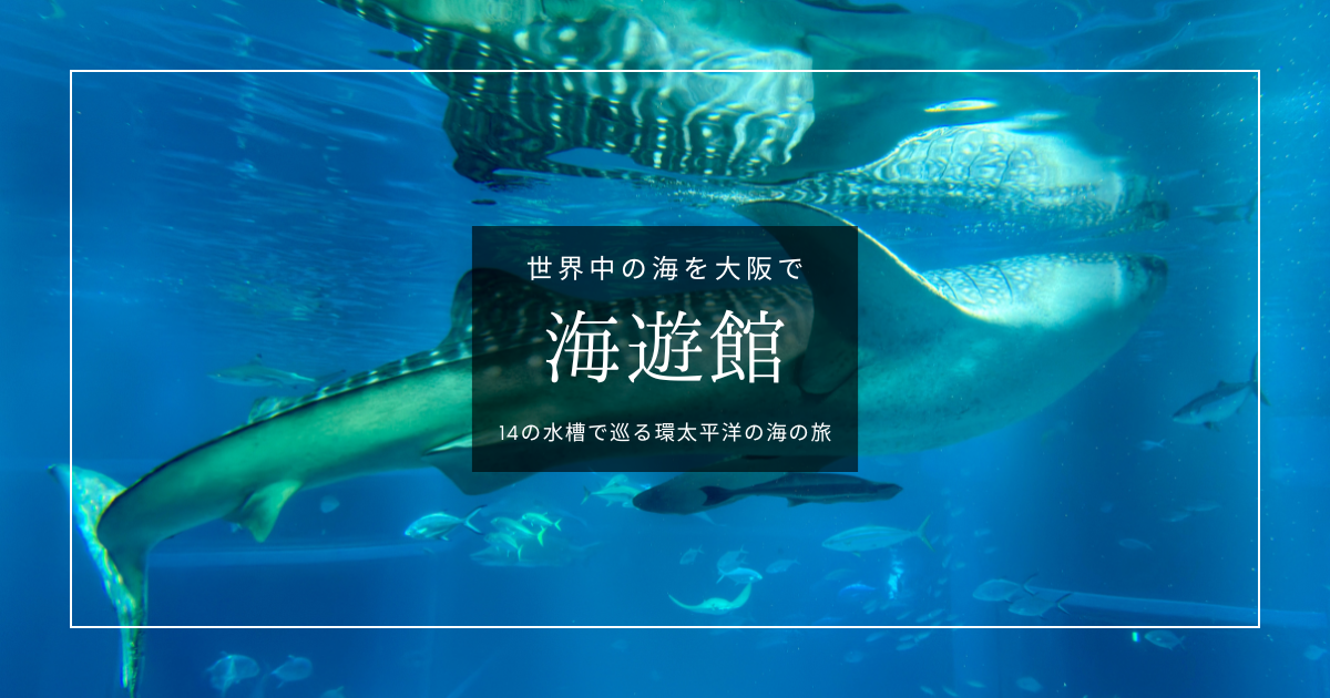 日本最大級！海遊館見どころガイド｜14の水槽で巡る環太平洋の海の旅。大阪・天保山の水族館