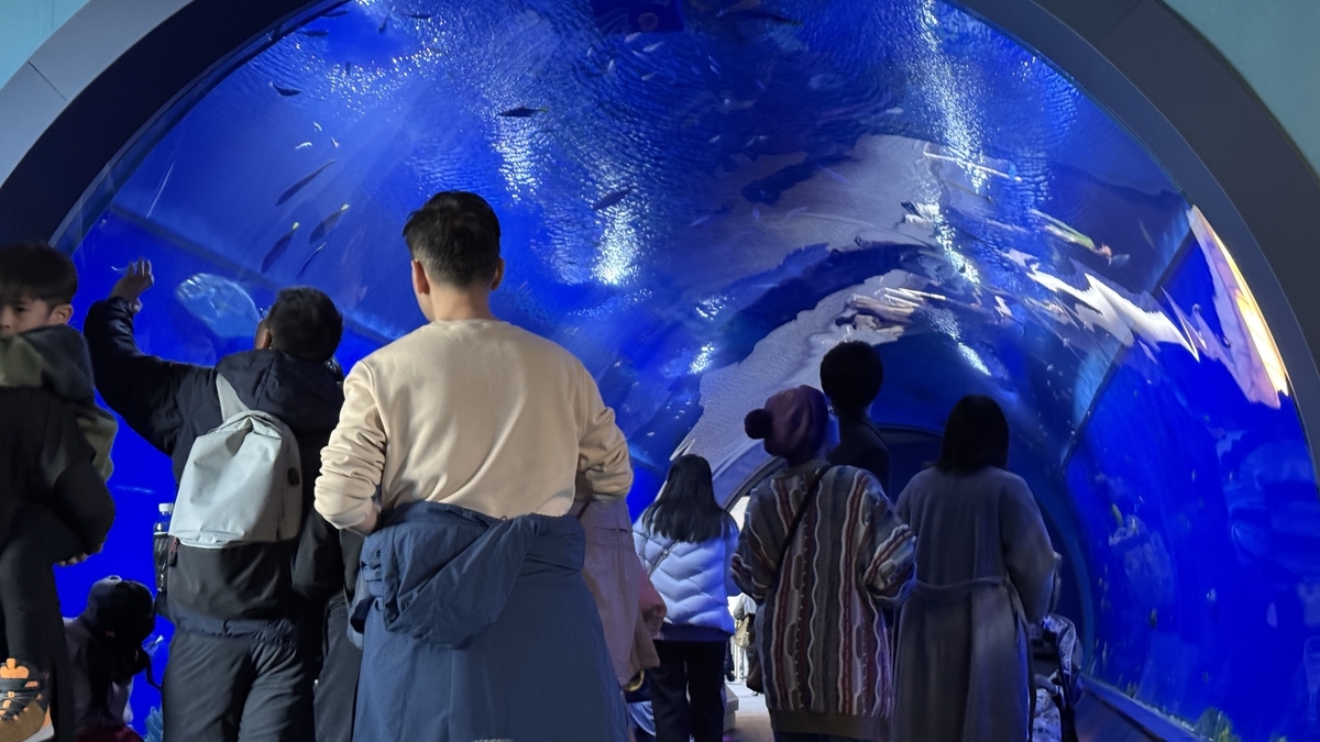 관람 순서 첫 번째 전시 아쿠아 게이트 입구와 푸른 조명 공간