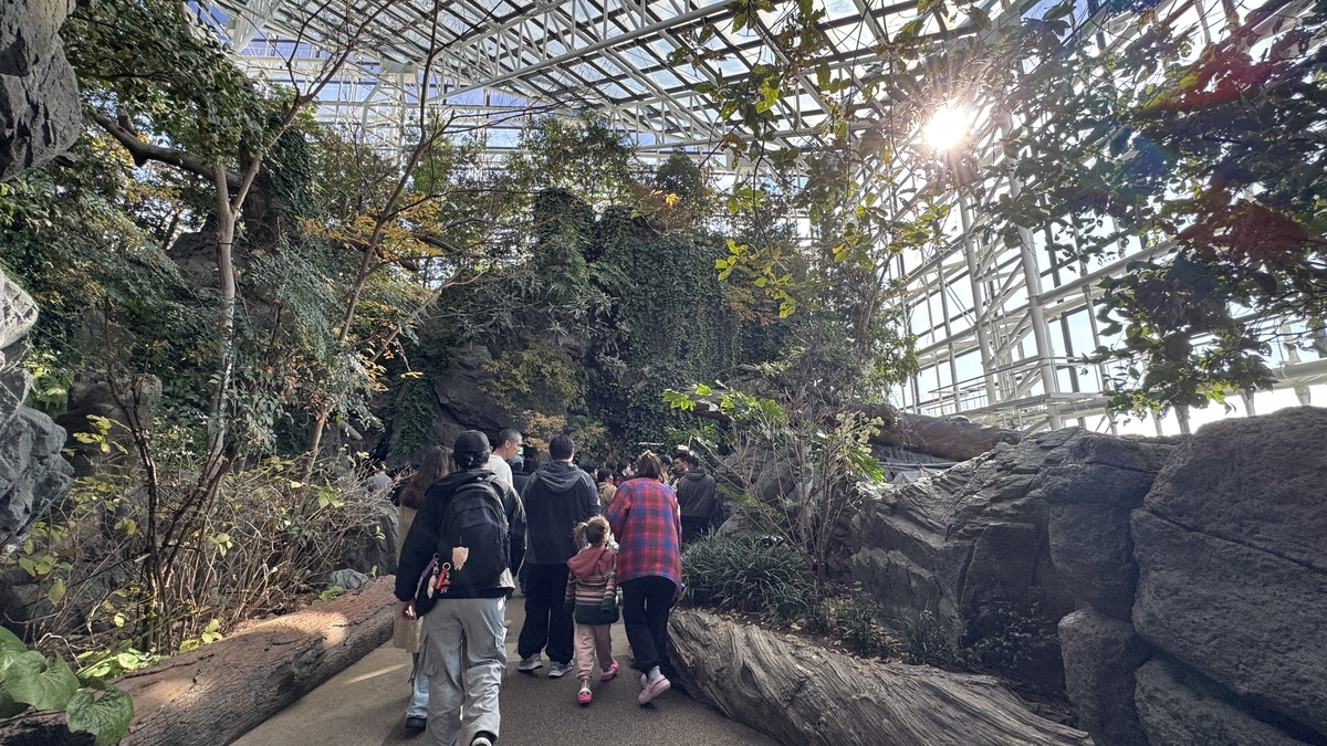 일본의 숲 전시에서 나무, 폭포, 계류 풍경을 재현한 모습