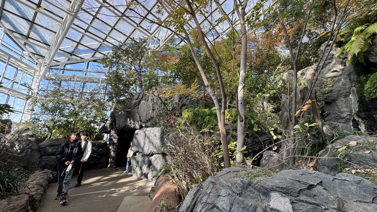 일본의 숲 전시에 배치된 계절 꽃과 초록 식물