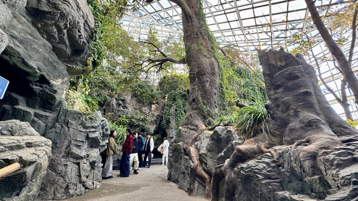 일본의 숲 전시 수변에 펼쳐진 푸른 식재와 바위