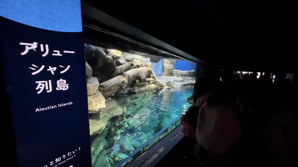 알류산 열도 전시의 차가운 바다를 표현한 수조