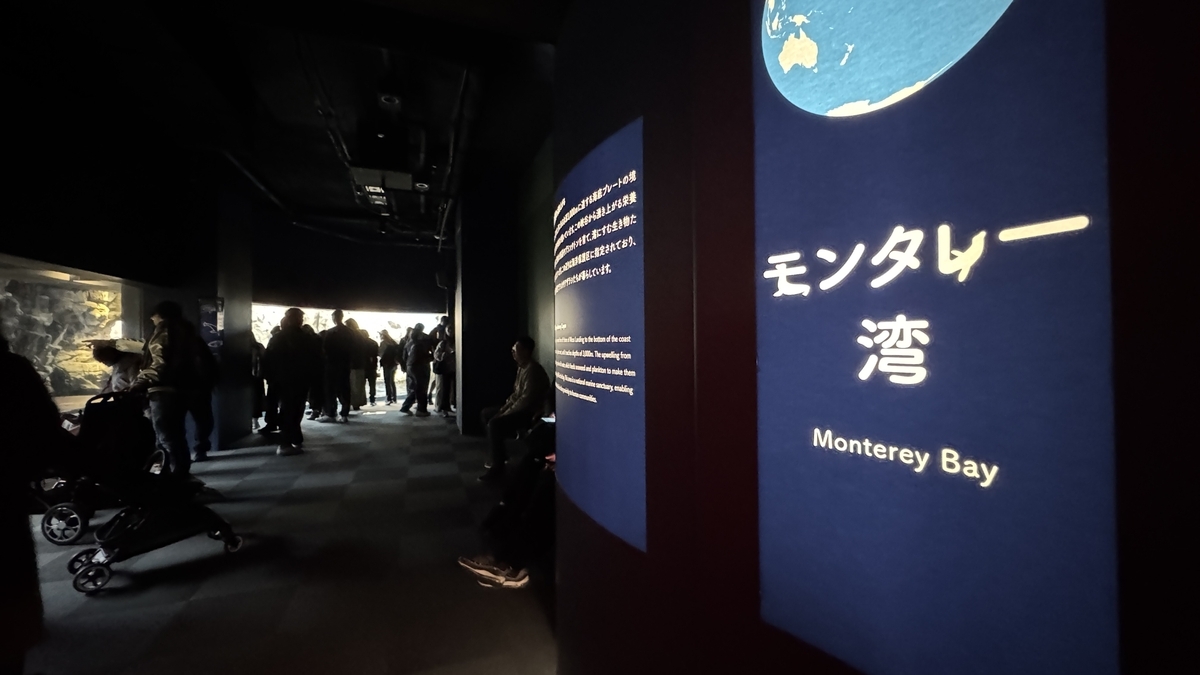 몬터레이만 전시의 넓은 수조와 바위 경관