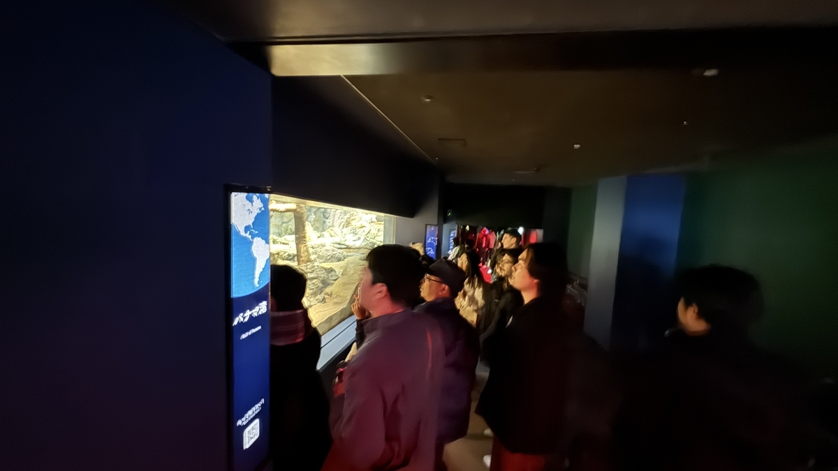 중앙아메리카의 바다를 재현한 파나마만 전시 수조