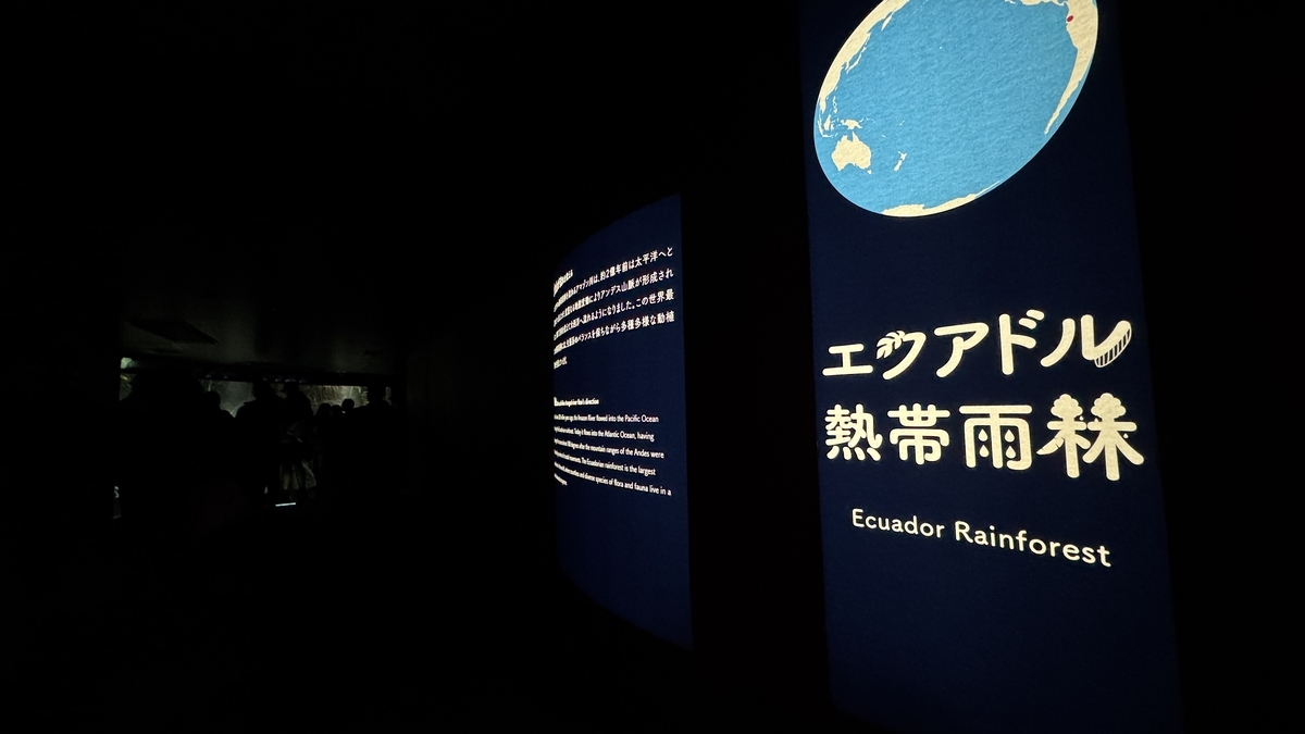 푸른 초록으로 감싸인 에콰도르 열대우림 전시 전경