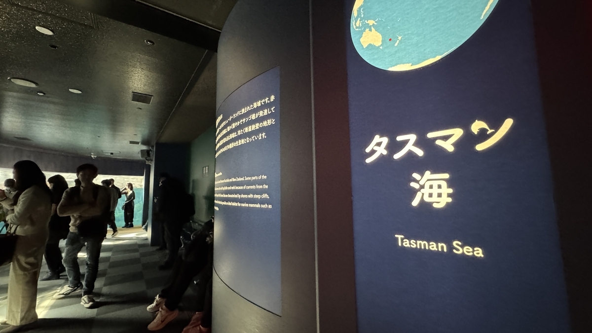 태즈먼해 전시의 대형 회유 수조와 관람 통로