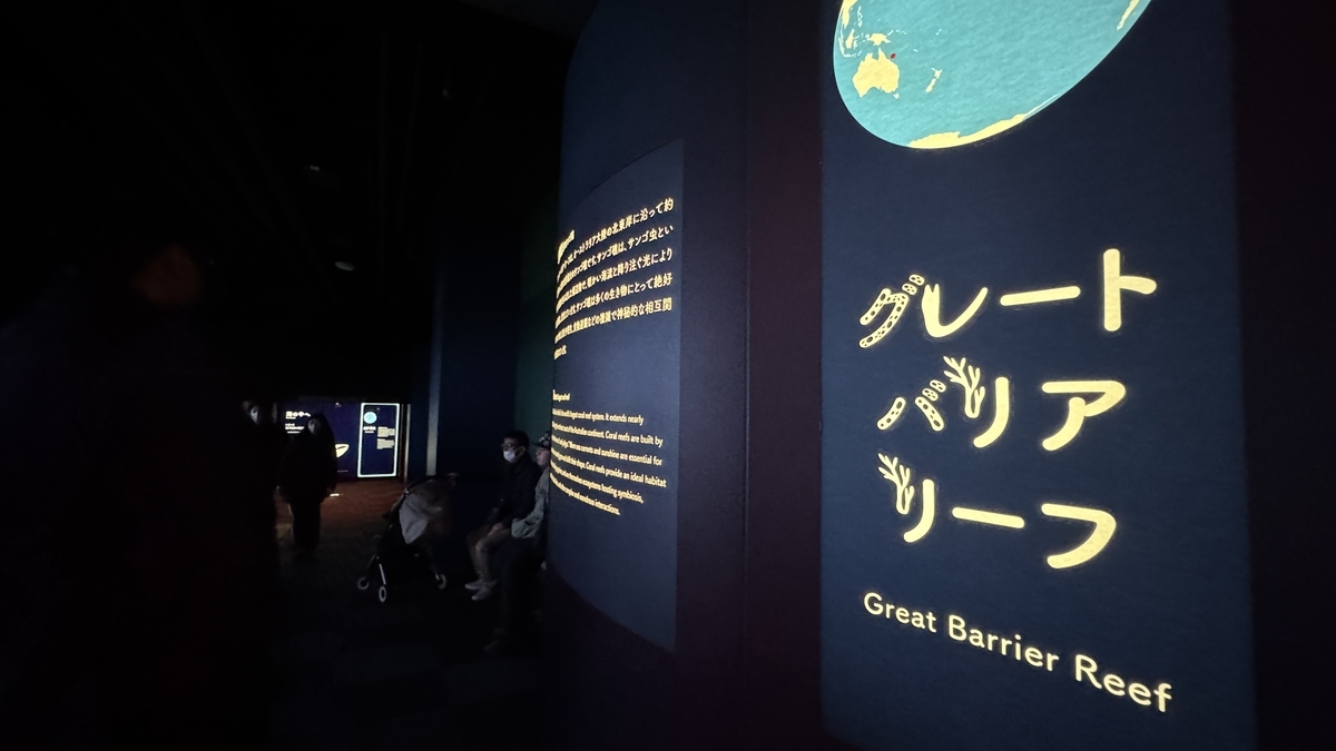 그레이트 배리어 리프 전시의 화려한 산호 수조