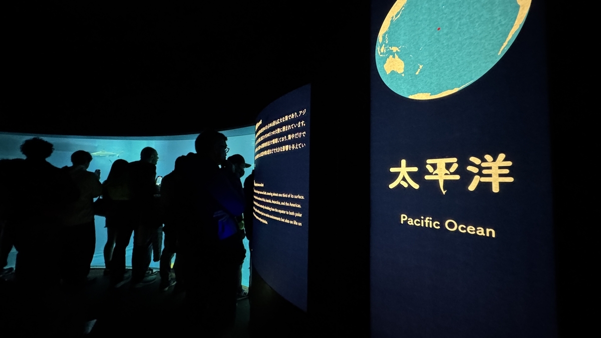 카이유칸 클라이맥스 태평양 전시의 거대 수조 전경