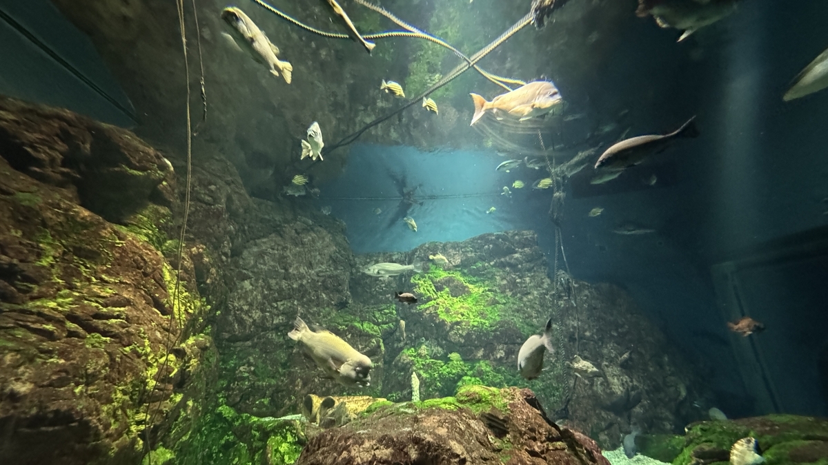 세토 내해 전시에 놓인 문어 항아리 재현 전시물