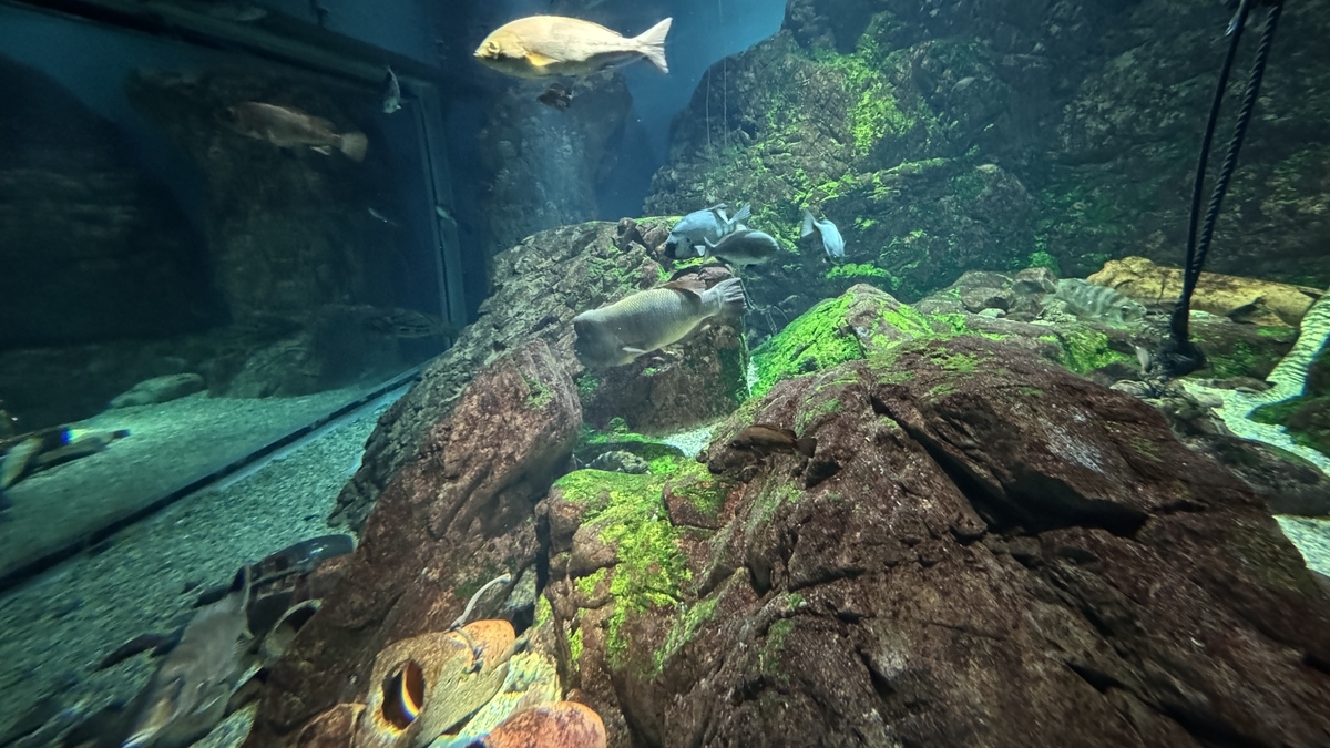 세토 내해 전시의 유리 부자와 바다 생활 표현