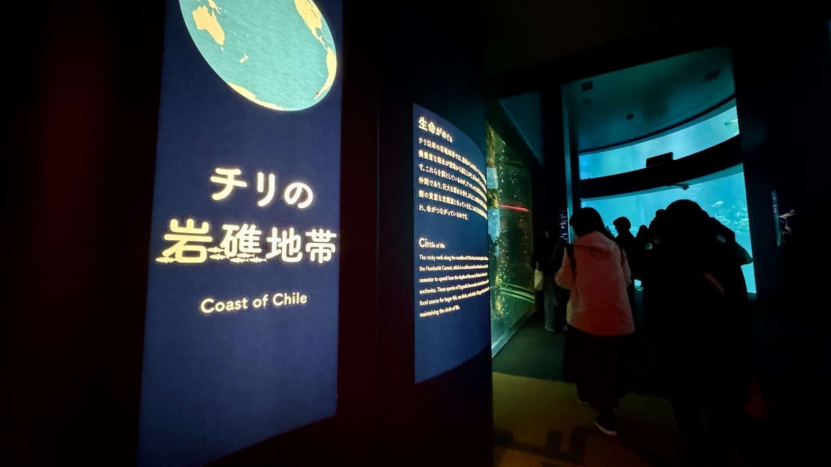 칠레의 암초 지대 전시의 정어리 회유 수조