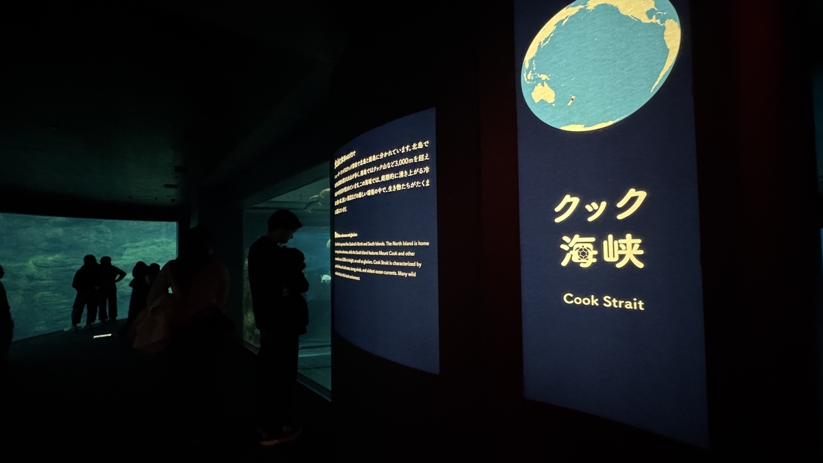 빠른 조류를 표현한 쿡 해협 전시 수조