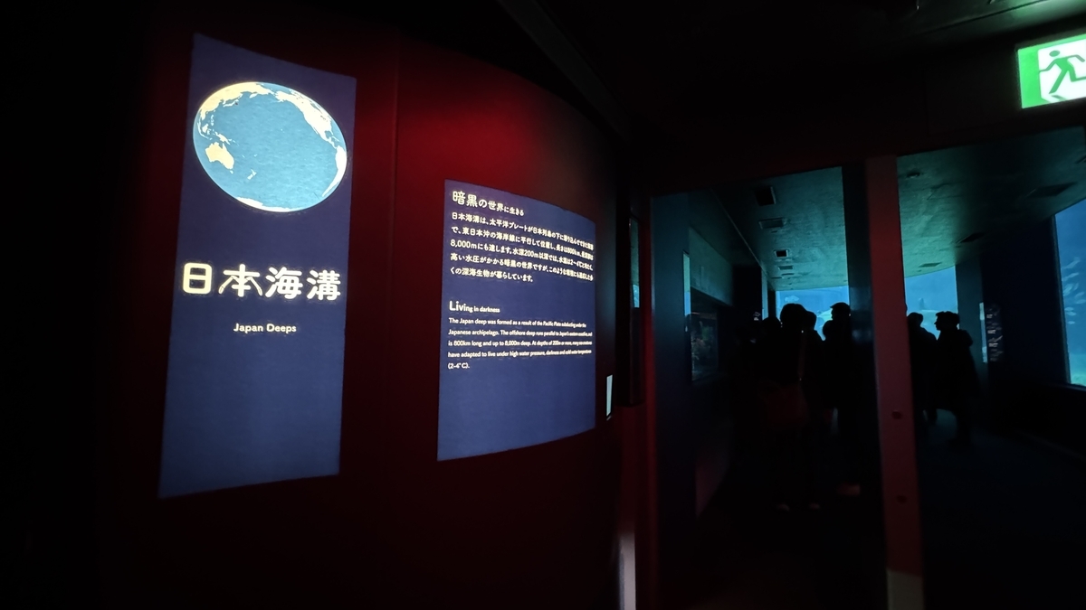 상설 전시 마지막인 일본 해구 전시의 도입 수조