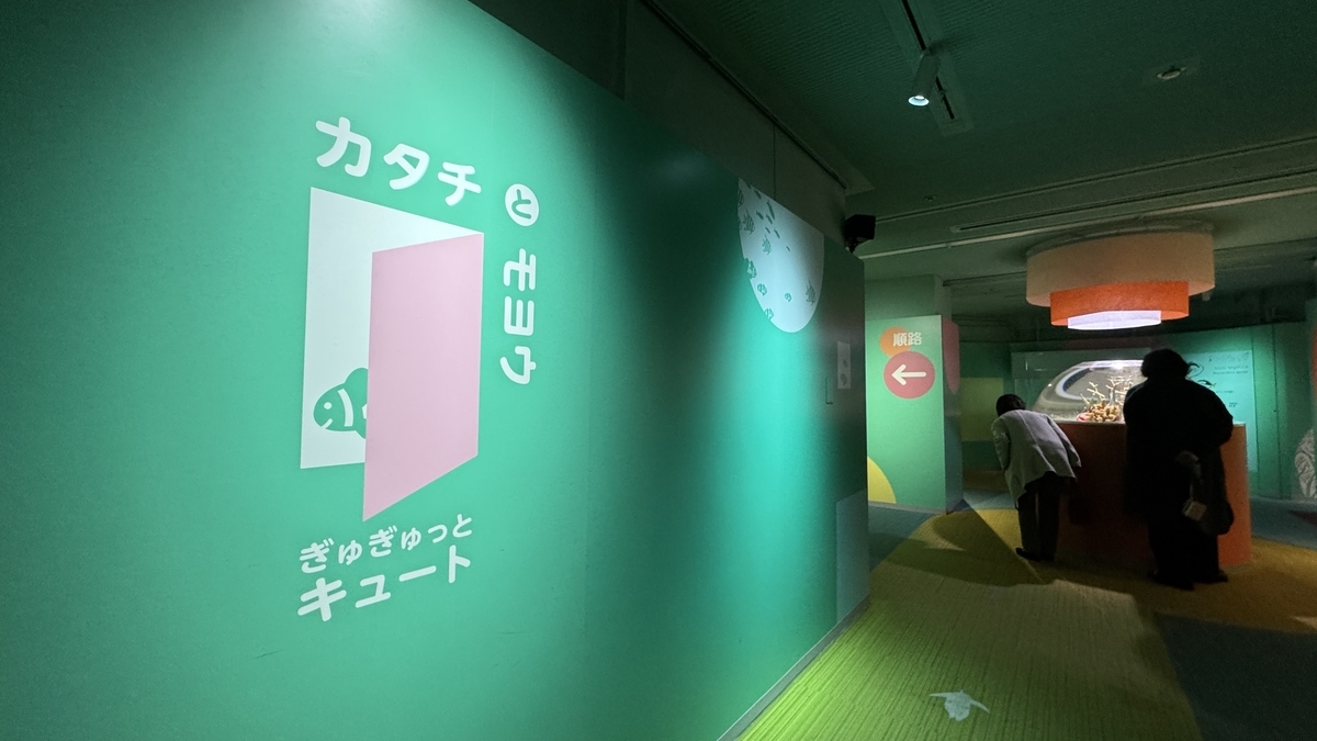 기획 전시 규귯토 큐트 입구 디스플레이