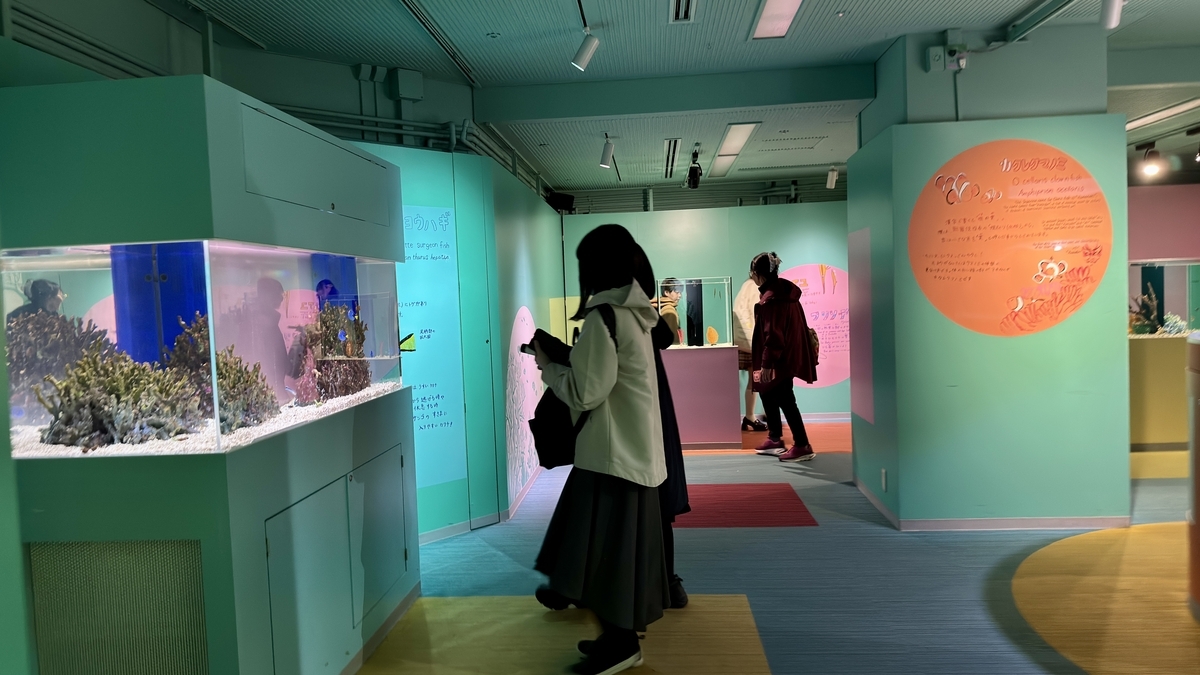 규귯토 큐트에서 인기인 치나나고 전시