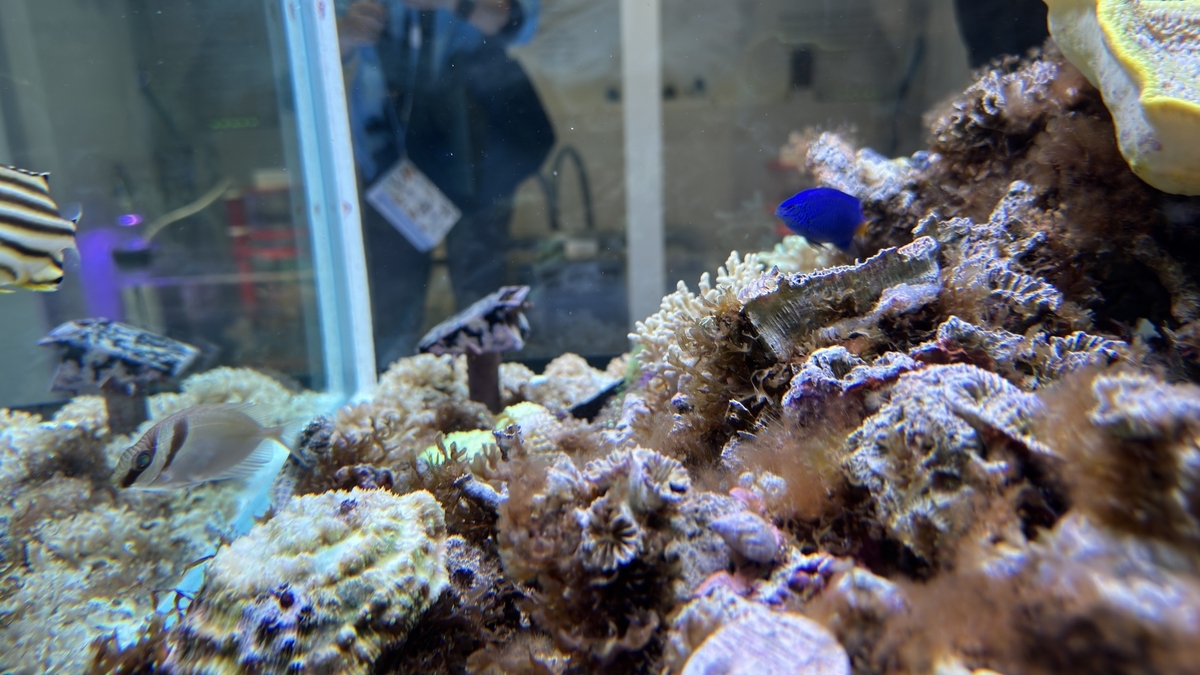 산호전에서 다층 구조로 배치된 수조 레이아웃