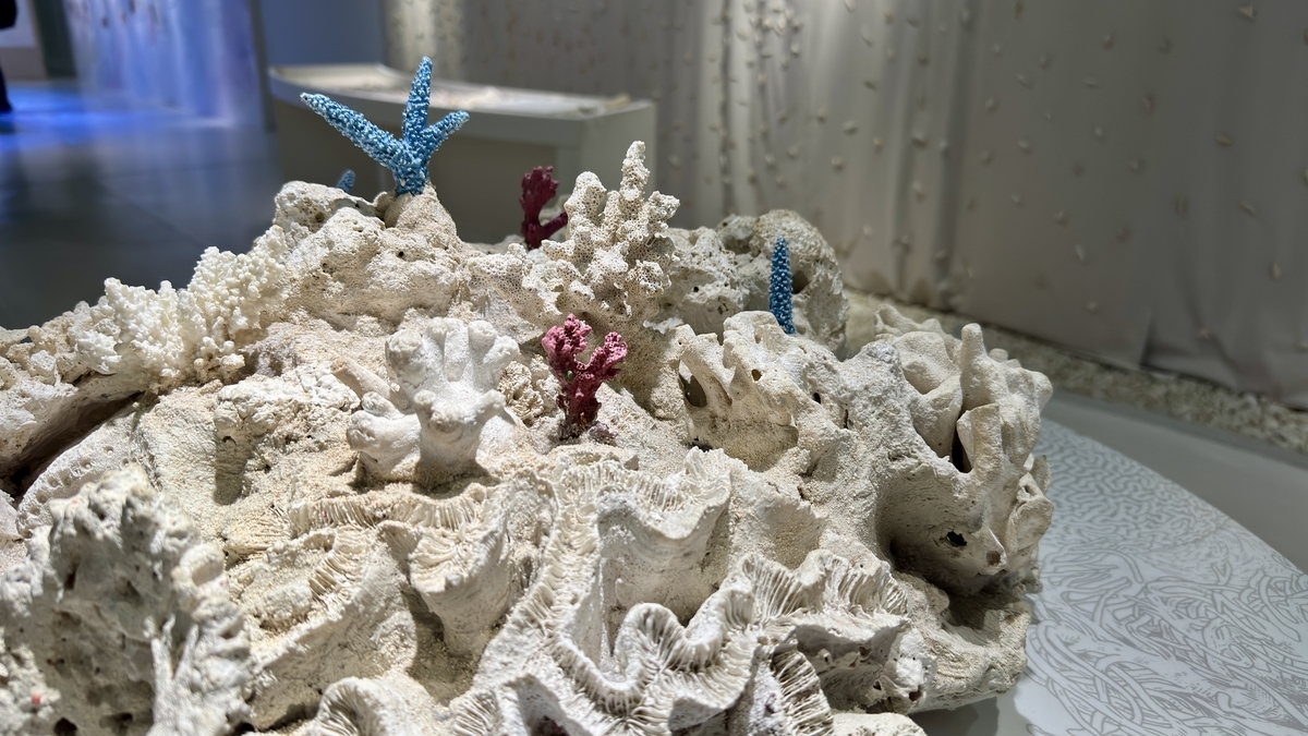 산호전의 배경과 활동을 설명하는 해설 패널