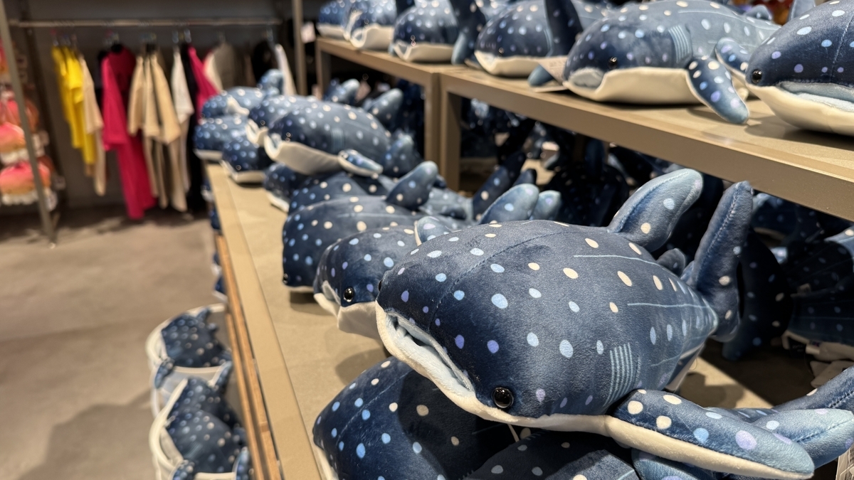 수족관 모티프 의류와 소품이 진열된 의류 매장